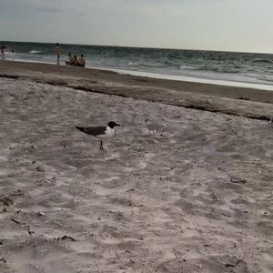 Meet your Posher, Kara